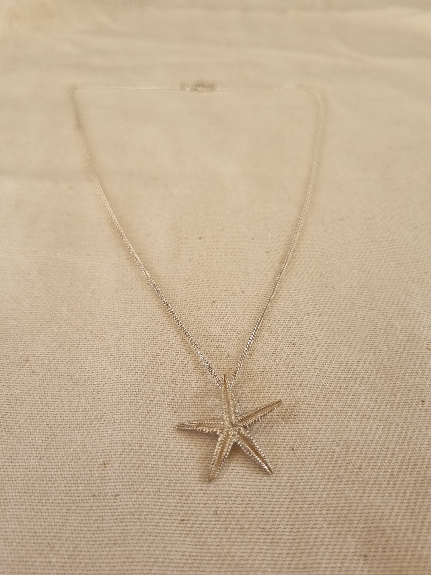 Starfish pendant on chain